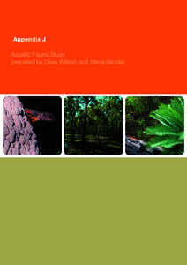Microsoft Word - R001 TTP Aquatic Fauna Report vFINAL.doc