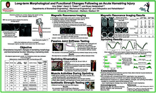 Long-term Morphological and Functional Changes Following an Acute Hamstring Injury 1 Silder , 1,2,3 Thelen ,