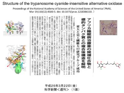 Structure of the trypanosome cyanide-insensitive alternative oxidase Proceedings  of  the  National  Academy  of  Sciences  of  the  United  States  of  America（PNAS,   Mar  19;110(12):4580-­‐5.  doi: