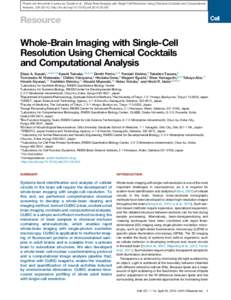 Neuroimaging / Fluorescence / Microscopy / Magnetic resonance imaging / Laboratory techniques / Single-photon emission computed tomography / Human brain / Functional magnetic resonance imaging / Fluorescence microscope / Biology / Chemistry / Science