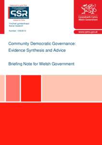 Community Democratic Governance: Evidence Synthesis and Advice
