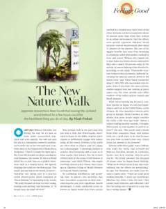 Feeling Good  The New Nature Walk  Japanese researchers have found that leaving the civilized