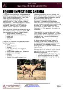 EQUINE INFECTIOUS ANEMIA Equine infectious anaemia (EIA or Swamp Fever) is a debilitating viral disease of horses. It is caused by a virus of the Lentivirinae subfamily (Retroviridae family) which is closed to the human 