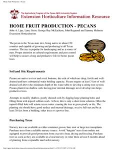 Home Fruit Production - Pecans