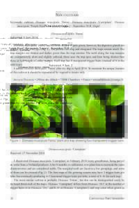 Carnivorous Plant Newsletter v44 n1 March 2015