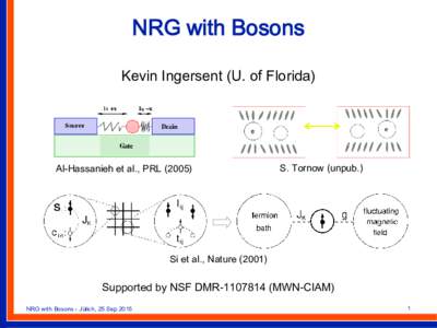 NRG with Bosons Kevin Ingersent (U. of Florida) Al-Hassanieh et al., PRLS. Tornow (unpub.)
