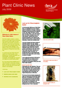 Plant Clinic News July 2009 Look out for Citrus longhorn beetle!
