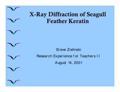 X-Ray Diffraction of Seagull Feather Keratin Steve Zielinski Research Experience for Teachers II August 14, 2001