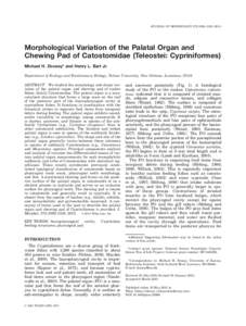 JOURNAL OF MORPHOLOGY 272:1092–Morphological Variation of the Palatal Organ and Chewing Pad of Catostomidae (Teleostei: Cypriniformes) Michael H. Doosey* and Henry L. Bart Jr. Department of Ecology and Evo
