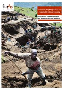 European draft Regulation on responsible mineral sourcing What lessons can be learned from the Democratic Republic of Congo? October 2014