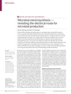 Microbial electrosynthesis — revisiting the electrical route for microbial production