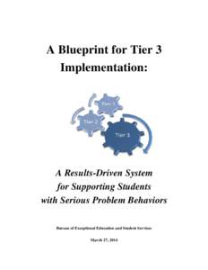 A Blueprint for Tier 3 Implementation