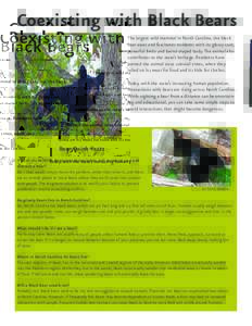 Coexisting with Black Bears The largest wild mammal in North Carolina, the black bear awes and fascinates residents with its glossy coat, powerful limbs and barrel-shaped body. The animal also contributes to the state’