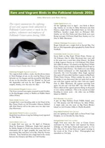 Rare and Vagrant Birds in the Falkland Islands 2006 Mike Morrison and Alan Henry This report summarises the sightings of rare and vagrant birds submitted to Falklands Conservation or made by the