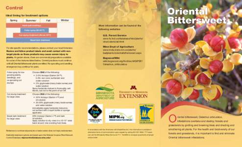 Oriental Bittersweet Brochure