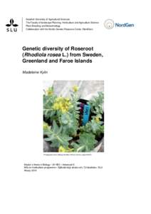 Swedish University of Agricultural Sciences The Faculty of landscape Planning, Horticulture and Agriculture Science Plant Breeding and Biotechnology Collaboration with the Nordic Genetic Resource Center (NordGen)  Geneti