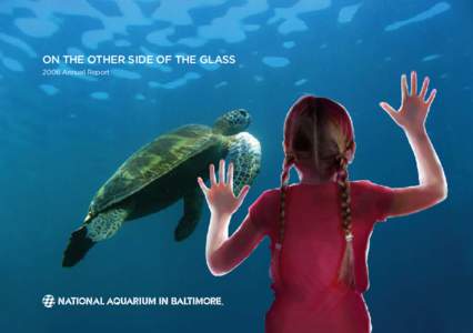 On the other side of the Glass 2006 Annual Report Silvery fish circle a remarkable reef, a dolphin’s splash surprises, and seabirds fly on water’s underside. Behind glass, the