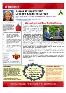 e-bulletin  December 2010 Glenis Willmott MEP Labour’s Leader in Europe