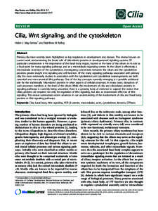 Axoneme / Cilium / Intraflagellar transport / Basal body / Wnt signaling pathway / Microtubule organizing center / Microtubule / Ciliopathy / Centriole / Biology / Cell biology / Organelles
