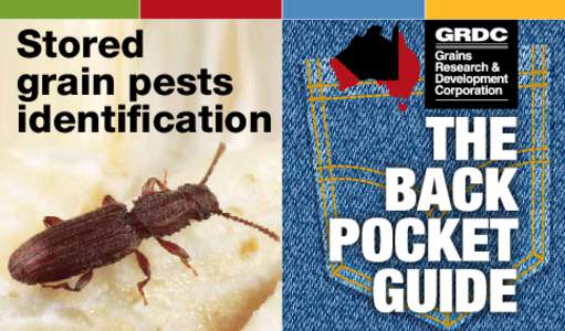Stored grain pests identification Using this Guide This identification guide provides