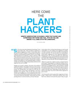 PLANT HACKERS GENETIC MODIFICATION IS CHASING A ROSE THAT GLOWS AND SUPERTREES FOR PAPER AND FUEL, WITH NO TELLING WHERE IT ALL ENDS UP IN THE LANDSCAPE. BY KEVAN WILLIAMS