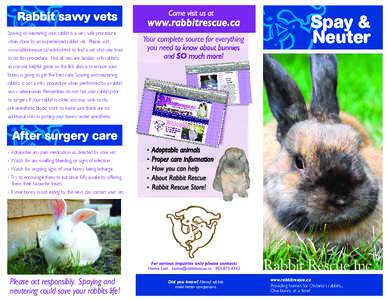 Rabbit savvy vets  Spay & Neuter  Spaying or neutering your rabbit is a very safe procedure