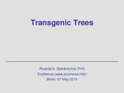 Transgenic Trees  Ricarda A. Steinbrecher, PhD EcoNexus (www.econexus.info) Berlin, 07 May 2015