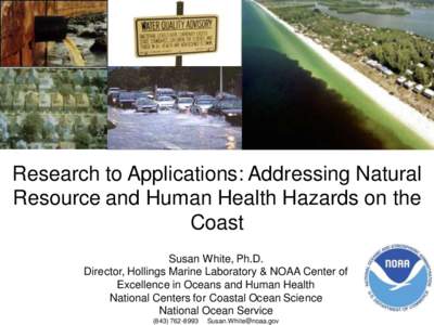 Research to Applications: Addressing Natural Resource and Human Health Hazards on the Coast Susan White, Ph.D. Director, Hollings Marine Laboratory & NOAA Center of Excellence in Oceans and Human Health