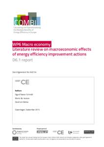 WP6 Macro economy: Literature review on macroeconomic effects of energy efficiency improvement actions D6.1 report Grant Agreement No