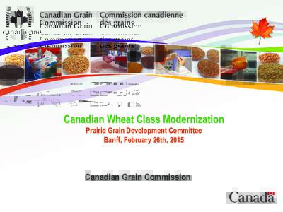 Canadian Wheat Class Modernization - Prairie Grain Development Committee, Banff, February 26, 2015