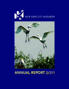 annuaL report New York City Audubon is tax-exempt under section 501(c) 3 of the Internal Revenue Code. Donations are taxdeductible to the extent allowed by law.