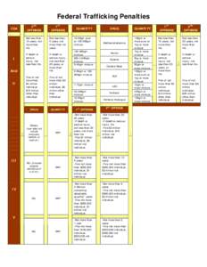 Federal Trafficking Penalties CSA I  2ND