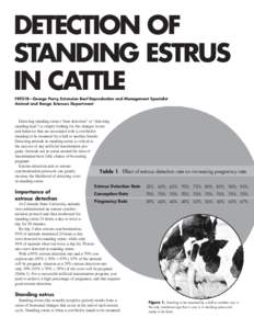 DETECTION OF STANDING ESTRUS IN CATTLE FS921B—George Perry, Extension Beef Reproduction and Management Specialist Animal and Range Sciences Department