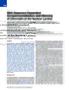 DNA Sequence-Dependent Compartmentalization and Silencing of Chromatin at the Nuclear Lamina