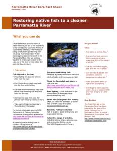 Parramatta River Carp Fact Sheet September, 2009 Restoring native fish to a cleaner Parramatta River What you can do