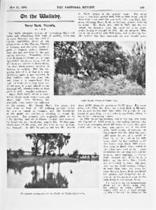 THE PASTORAL REVIEW.  MAT 15, 1913. ©n tbe Mallab^ Berry Bank, Victoria.