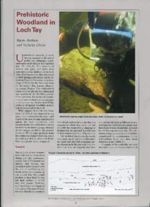 Prehistoric Woodlandin LochTay {