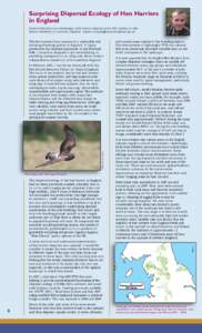 Surprising Dispersal Ecology of Hen Harriers in England Stephen Murphy is an ornithologist with Natural England and a PhD student at John Moores University in Liverpool, England. [removed]  The