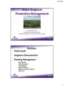 Grain Sorghum Production Management  Lucas Haag, Ph.D.
