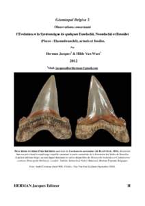 Géominpal Belgica 2 Observations concernant l’Evolution et la Systématique de quelques Euselachii, Neoselachii et Batoidei (Pisces - Elasmobranchii), actuels et fossiles. Par