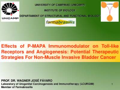 UNIVERSITY OF CAMPINAS (UNICAMP) INSTITUTE OF BIOLOGY DEPARTAMENT OF STRUCTURAL AND FUNCTIONAL BIOLOGY  Effects of P-MAPA Immunomodulator on Toll-like