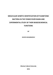 MOLECULAR GENETIC IDENTIFICATION OF PLANKTONIC BACTERIA IN THE YENISEI RIVER BASIN AND EXPERIMENTAL STUDY OF THEIR BIOGEOCHEMICAL FUNCTIONS BY