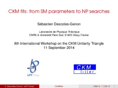 CKM fits: from SM parameters to NP searches ´ Sebastien Descotes-Genon ´ Laboratoire de Physique Theorique