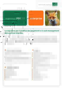 Flyer mammut FOX 2.0 It_enterprise_WIN10_Numero max di pagamenti_02022016.indd
