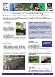 Composting - the art of natural recycling We already recycle a lot of our rubbish but composting is another simple way to help reduce the amount of waste going to landfill and causing problems such as methane production 