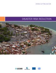 CROSS-CUTTING SECTOR  DISASTER RISK REDUCTION ii