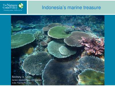 Indonesia’s marine treasure  Nature’s services provide … Multiple direct benefits: • Shoreline protection, food, jobs, medicines, carbon storage (mangroves)