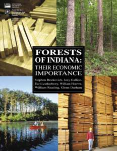 Forests of Indiana:  Their Economic Importance