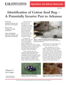 Agriculture and Natural Resources FSA7076 Identification of Cotton Seed Bug –  A Potentially Invasive Pest to Arkansas