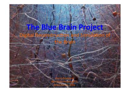 Digital	 The	Blue	Brain	Project Reconstruc0on	and	 Simula0on	of	the	 Brain